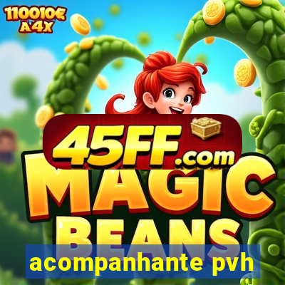 acompanhante pvh